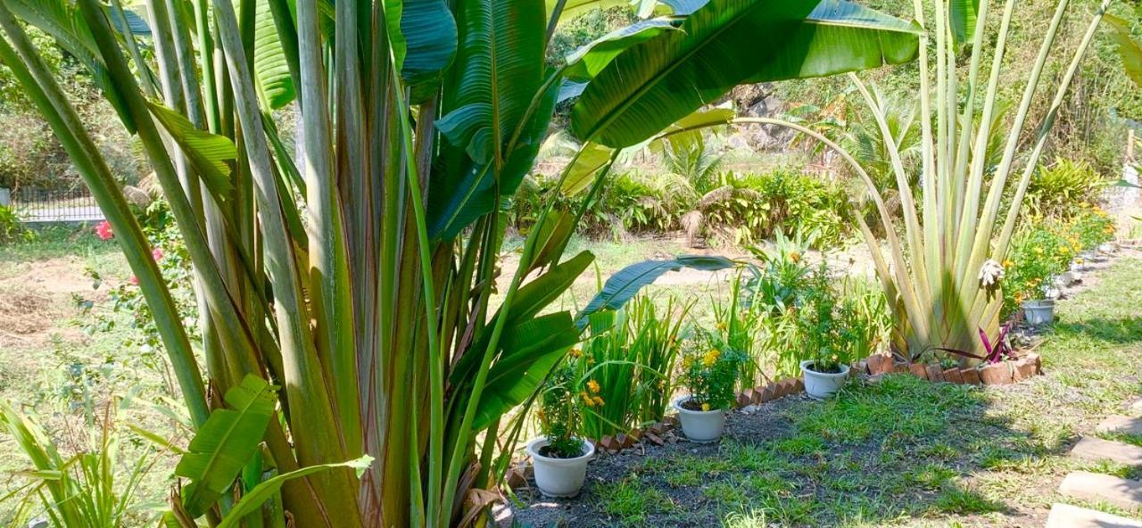 Cat Ba Island Garden Homestay - Papillon Buitenkant foto